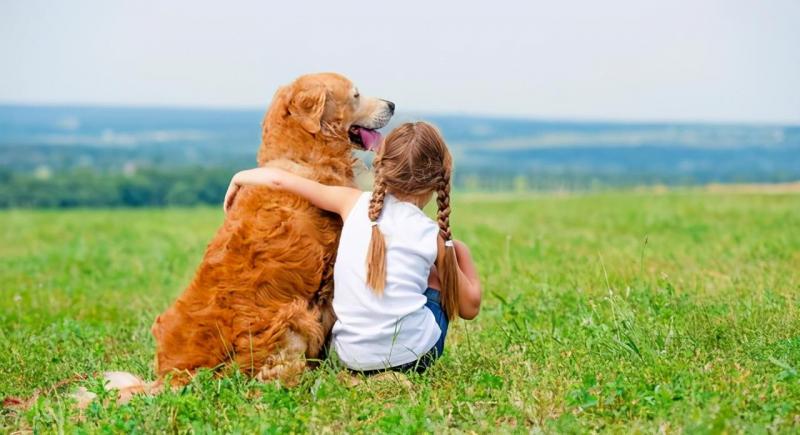 狗的生活特征和生活方式（详解：狗的特征属性是什么）