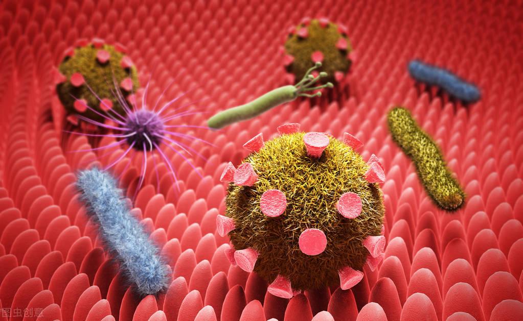 宠物生病了没钱治怎么办（宠物医院的套路连莆田系看了都流泪）