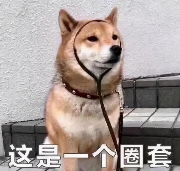 阿富汗猎犬多少钱一只