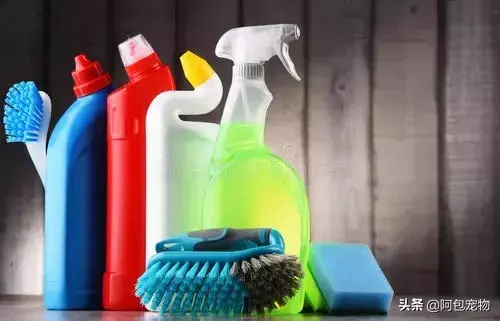 猫最怕气味排名第一且长期有效（怎么彻底驱赶野猫让它不再来）