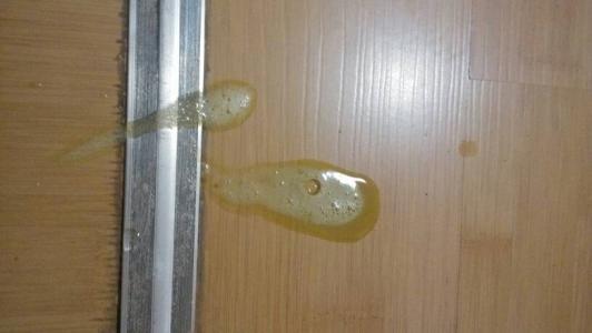 猫吐了一堆软化的猫粮 猫吐了猫粮和黄黄的糊是什么