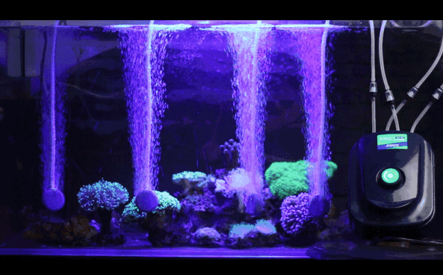 鱼缸增氧泵的正确使用方法