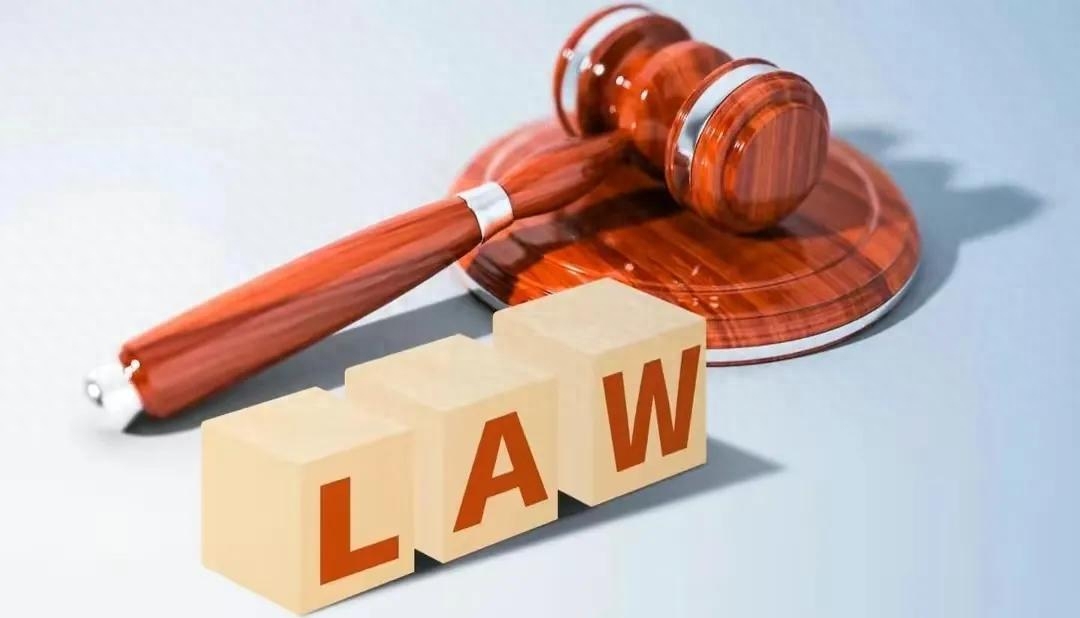 苏卡塔尔陆龟（危：苏卡塔尔陆龟当宠物构成犯罪）