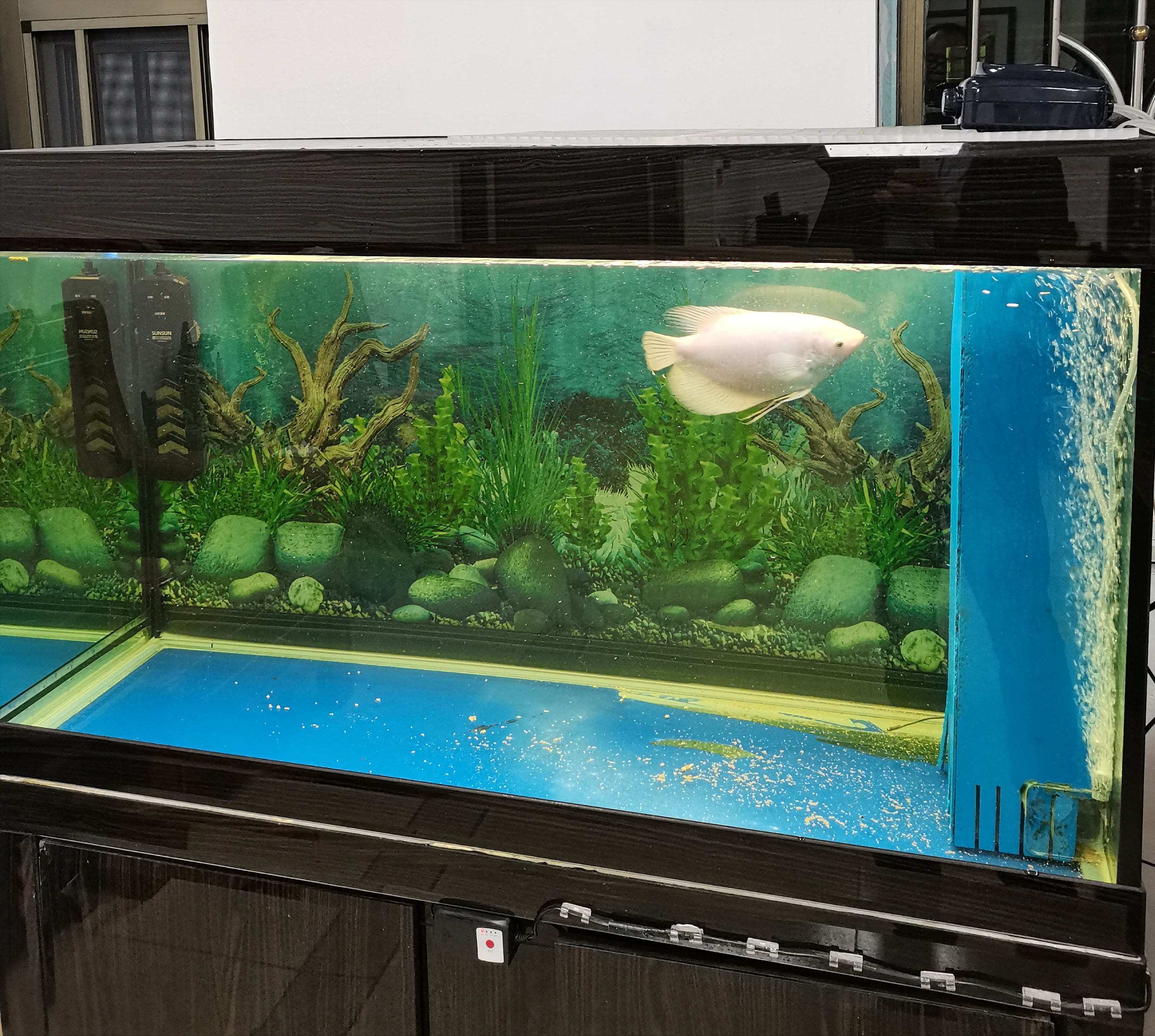 鱼缸增氧泵的正确使用方法（一直开氧气泵会影响鱼休息吗）