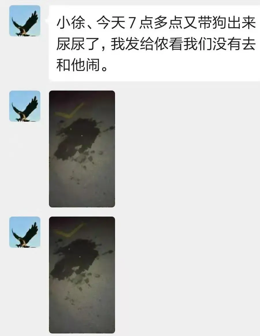 训犬基地一个月收费多少钱（在基地单条犬的成本约15-20万）