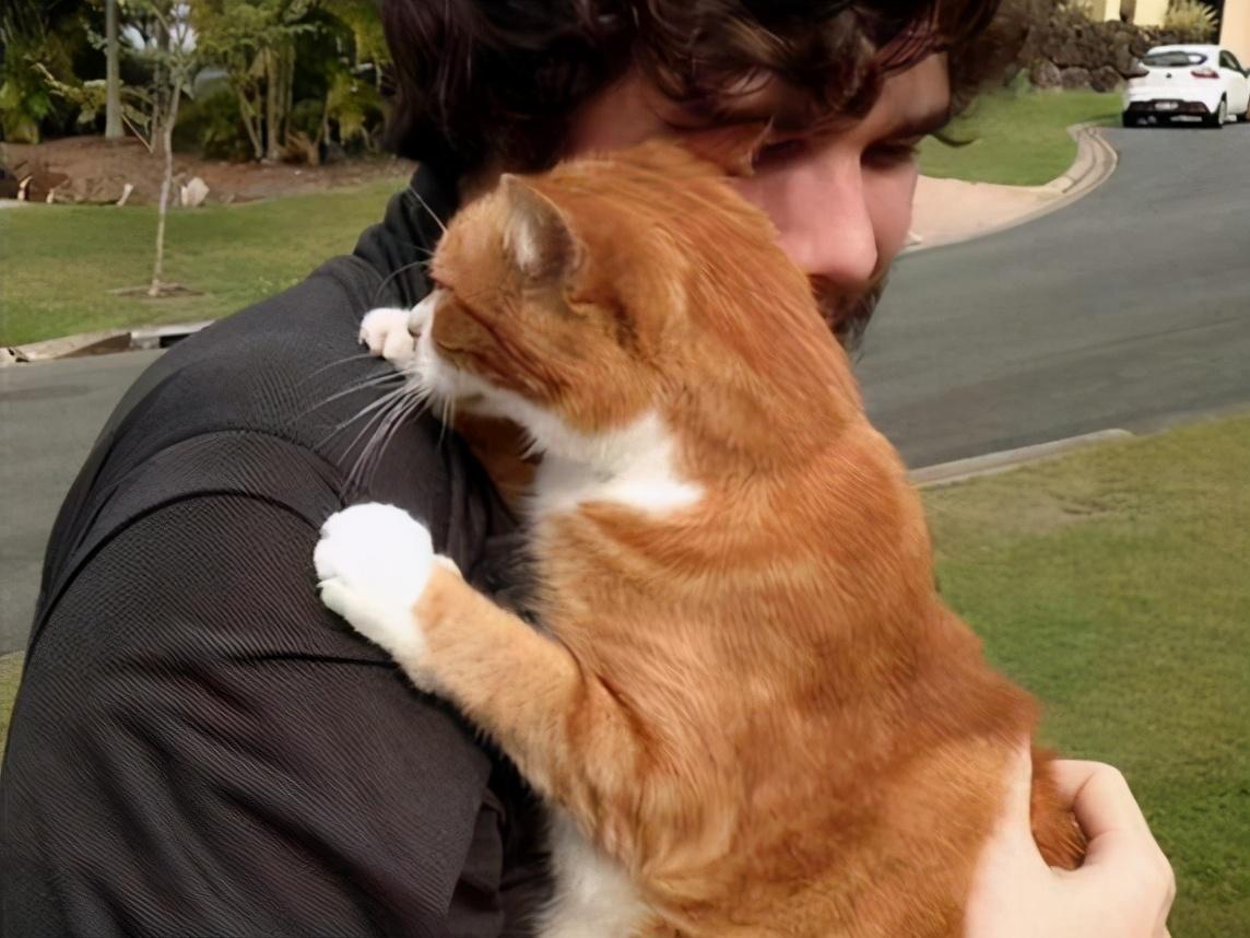 养猫的男生都是渣男吗（养猫的单身男孩子对待感情方式）