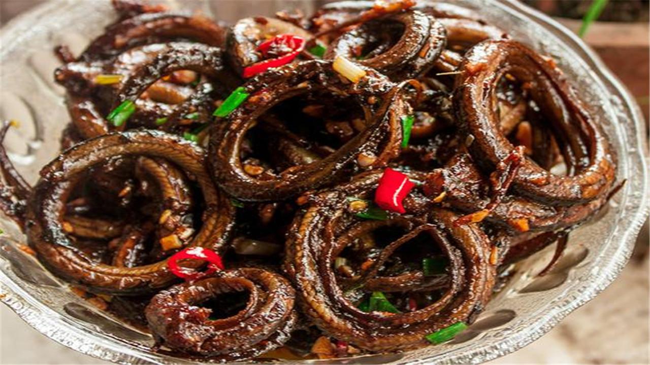 如何才能养殖培训出价值高的黄鳝呢（黄鳝养殖培训及饲养条件）