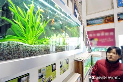 鱼缸水很清但有腥味怎么处理（鱼缸水很清但是有腥味）