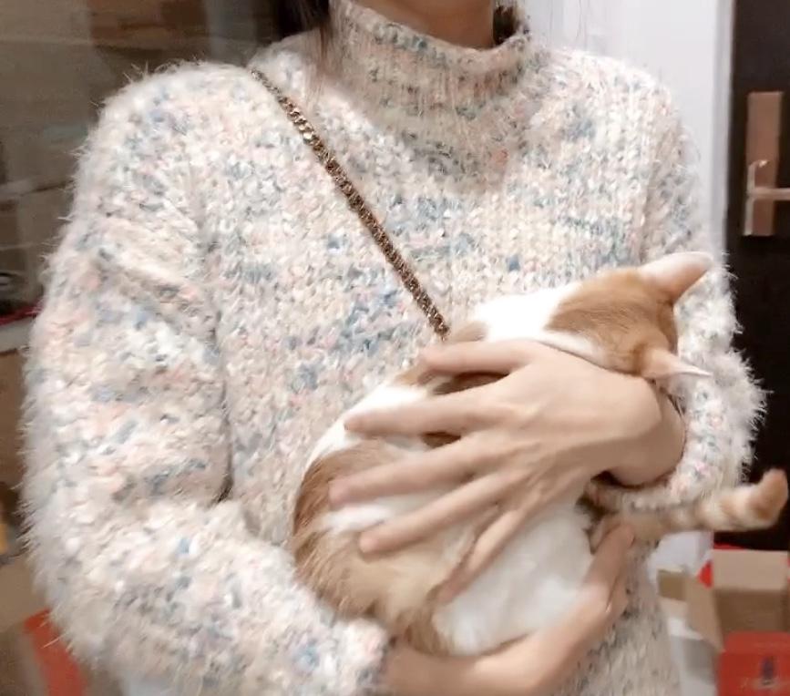 猫身上伤口长有白色皮屑怎么办（猫身上长有白色皮屑解决办法）