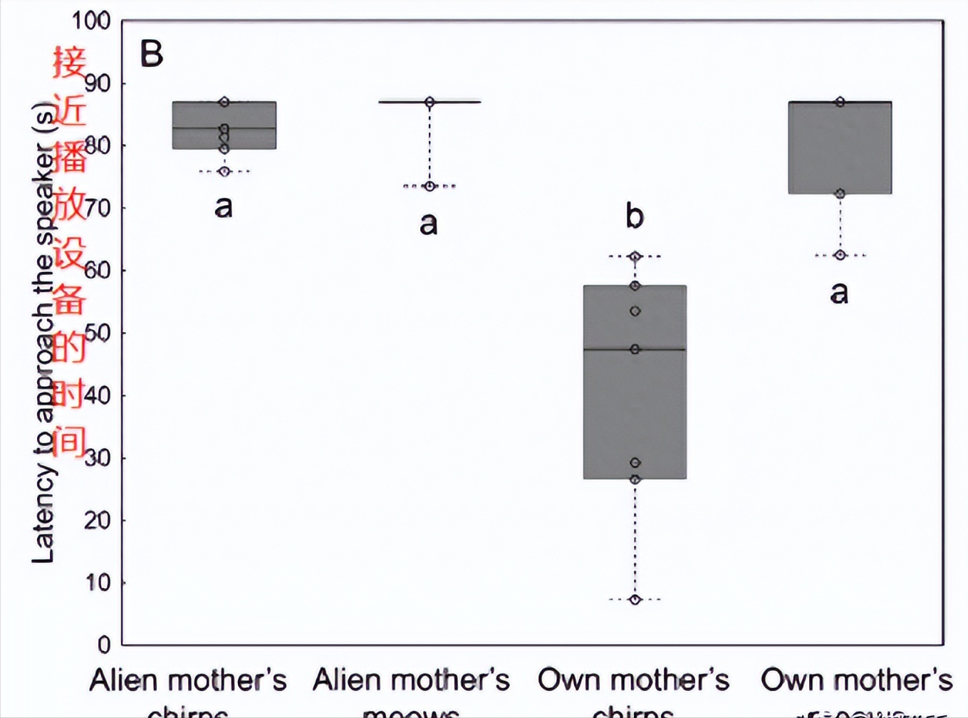 小猫会想念猫妈妈吗会哭吗（小猫丢了自己能回来吗）