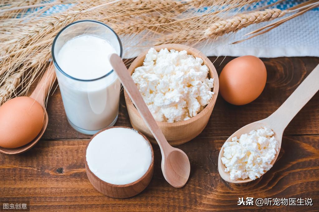 幼犬几个月补钙最佳（小狗狗缺钙吃什么补钙最快的方法）