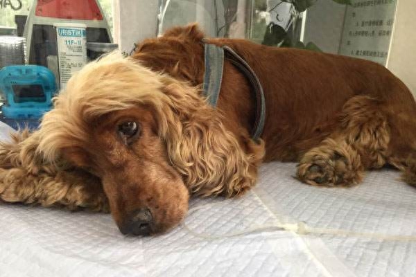 细小几天不死就没事了（附：找准治愈时机没那么可怕并非不治之症）