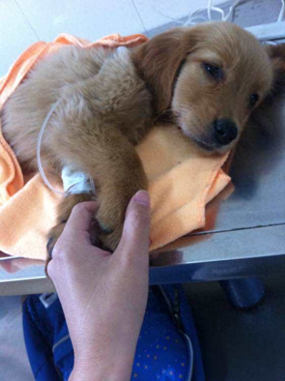 细小几天不死就没事了（附：找准治愈时机没那么可怕并非不治之症）