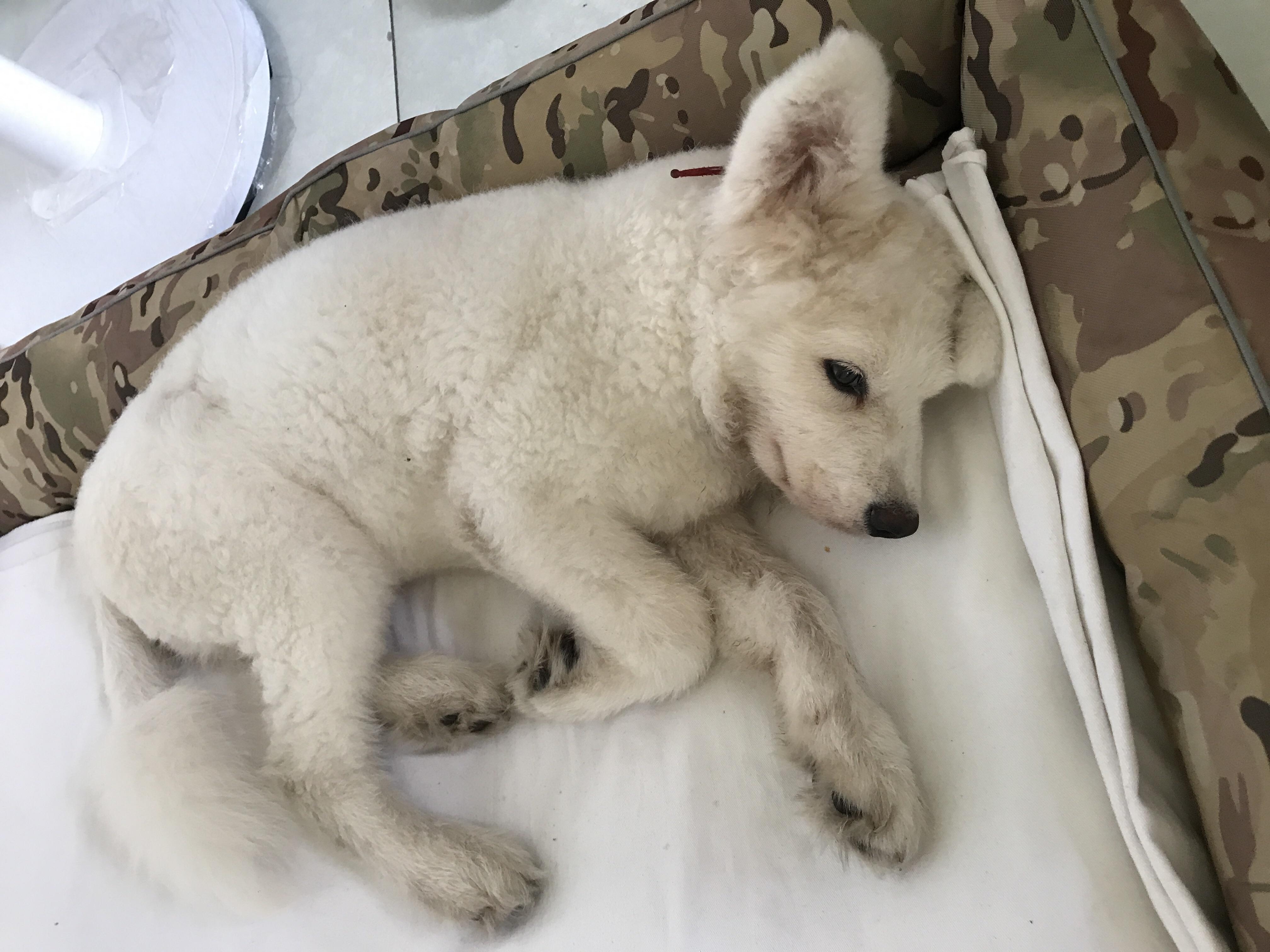 细小几天不死就没事了（附：找准治愈时机没那么可怕并非不治之症）