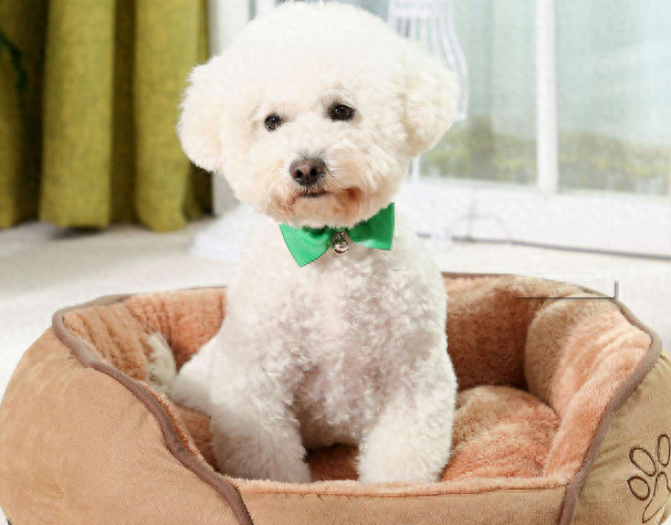 细小几天不死就没事了（附：找准治愈时机没那么可怕并非不治之症）