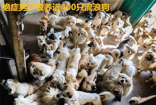 千万别去救助站领养狗狗的说说（知道怎么联系宠物救助站吗）