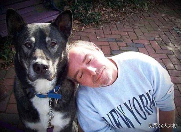 狗死后真的还会在家吗（狗狗离世后会回来找主人吗）