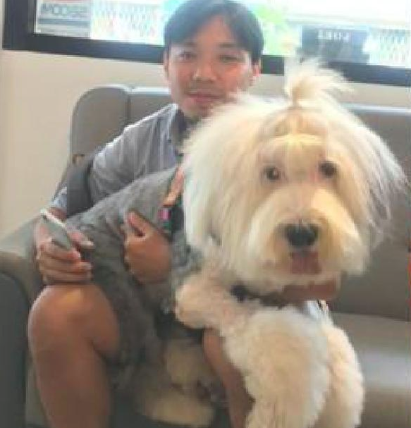 九岁老狗身体一落千丈，主人带它最后一次去旅游，诸多网民被打动