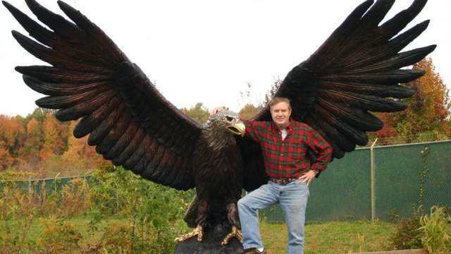 史上10种最恐怖的鸟（详解：世界上最危险可怕的鸟类）