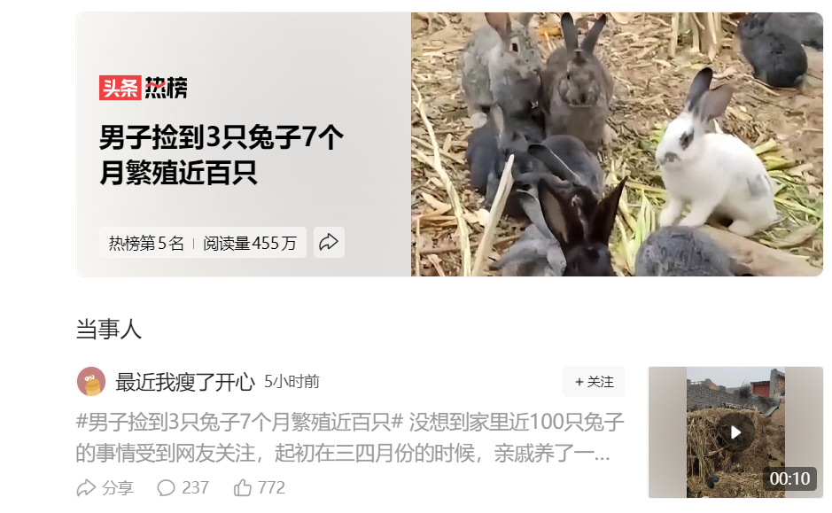 兔子繁殖周期有多久（详解：兔子配种的方法）