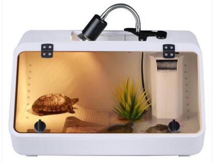 佛州甜甜圈龟真的好养吗（分享养甜甜圈龟的步骤）