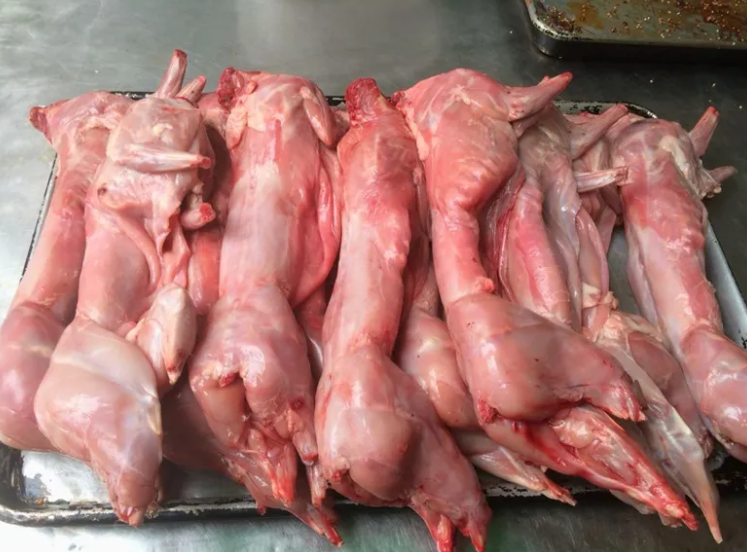 兔子繁殖周期有多久（详解：兔子配种的方法）