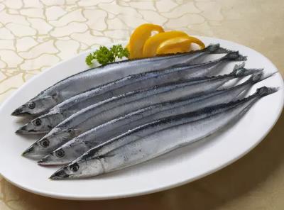 十大名贵锦鲤图片（国内十大最贵的淡水鱼）