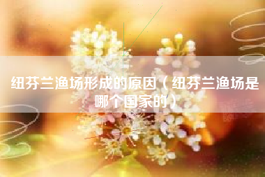 纽芬兰渔场形成的原因