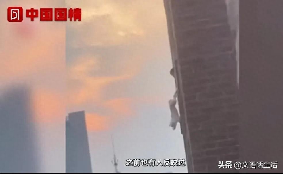 狗为何发出凄惨的叫声（附：狗被主人倒挂高楼外叫声响彻整个小区）