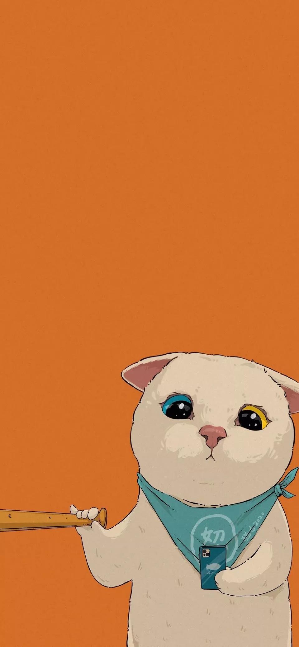 卡通可爱猫咪图片大全（失落的猫图片唯美）