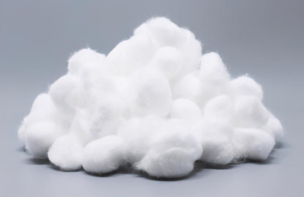 猫的伤口化脓成一个洞会死吗图片（猫咪身上烂了个洞有化脓用什么药怎么办）