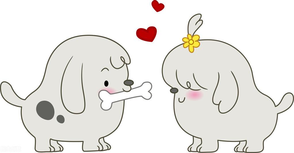 狗狗喜欢你的10种表现（让狗狗听话的最快方法你知道吗）