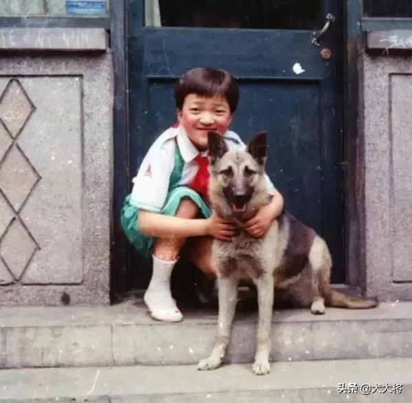 狗死后真的还会在家吗（狗狗离世后会回来找主人吗）