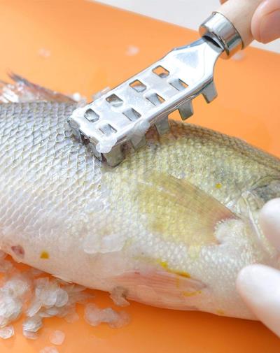 鱼怎么清洗干净