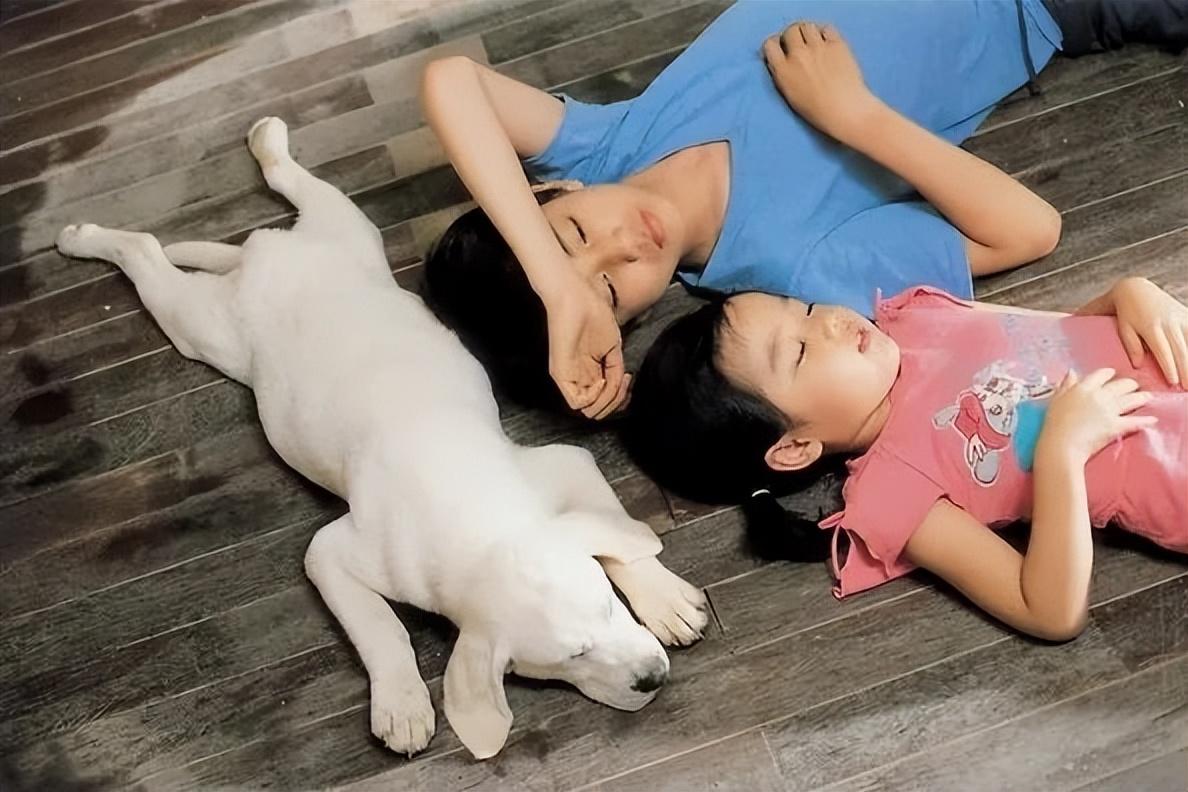 关于狗的电影排行榜前十名中国有哪些（狗狗电影排行榜前十名搞笑）