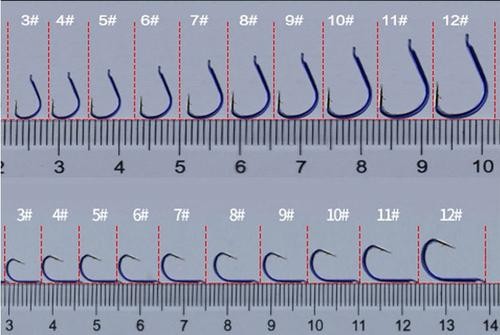 三月份适合钓昂刺鱼吗（附：钓昂刺鱼什么时间段钓最合适）