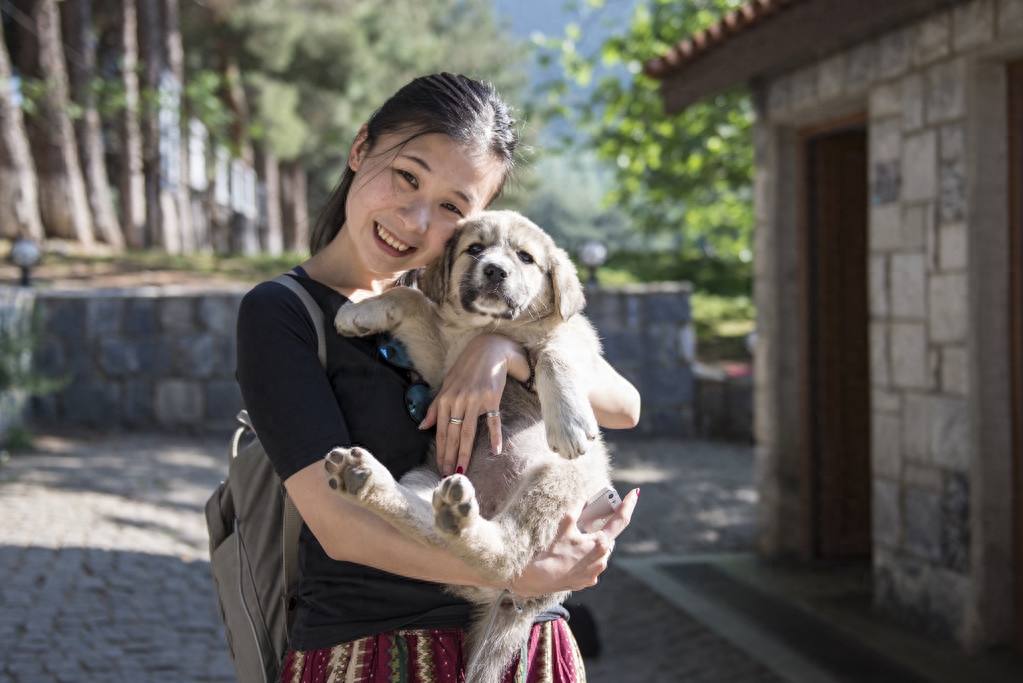 柯基一生认几个主人（附：狗也会偏心对待真正的主人）