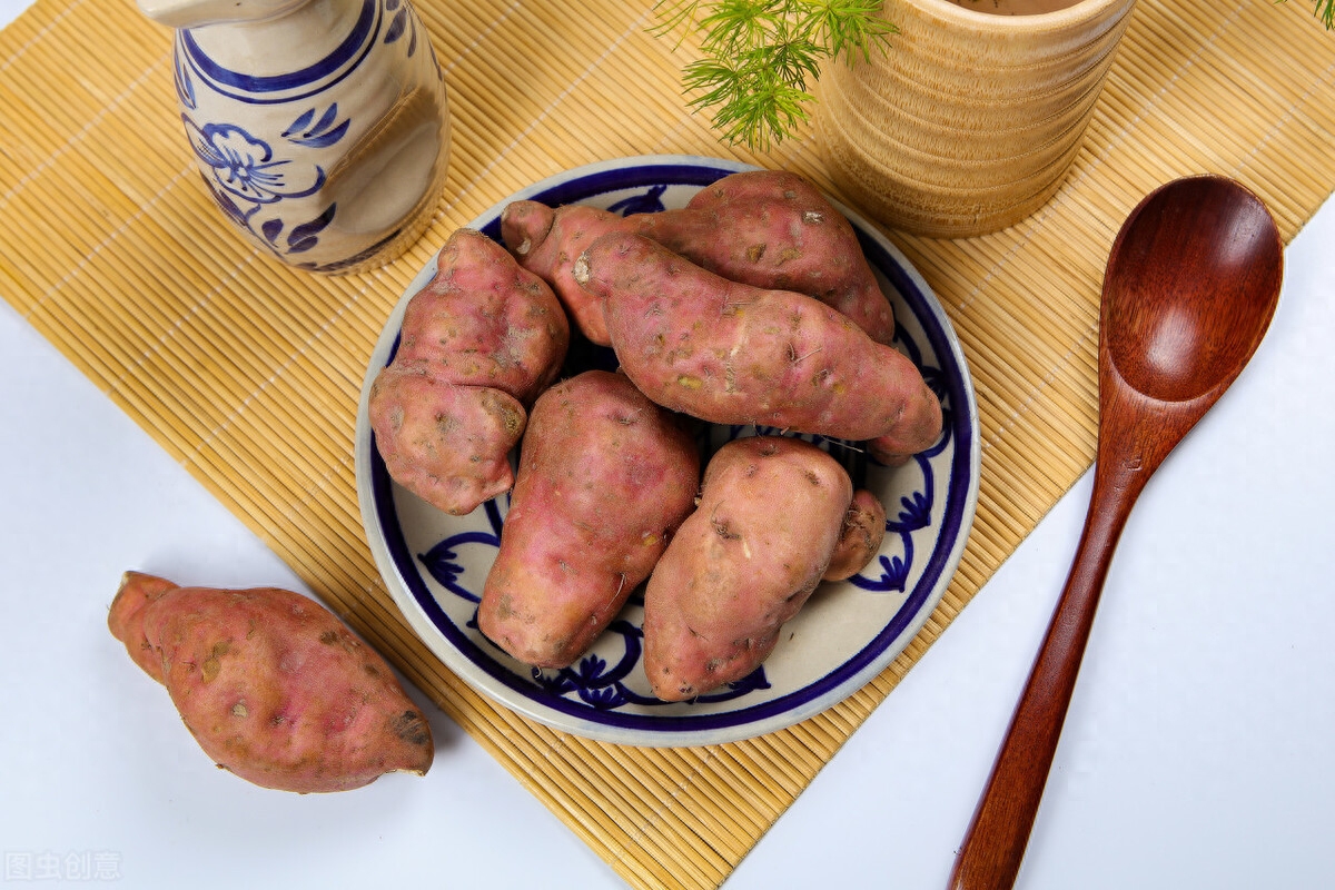 猫能吃什么人类食物（盘点猫咪可以吃的11种“人类食物”）