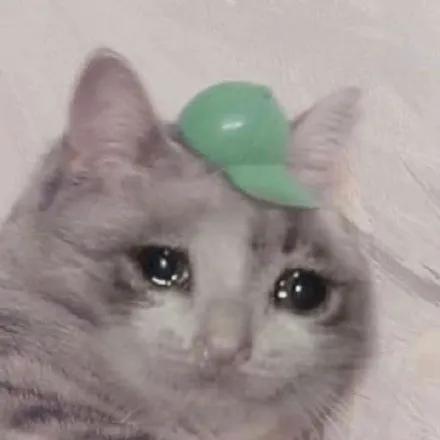 大脸猫图片卡通头像（最近很火的那个猫咪头像）