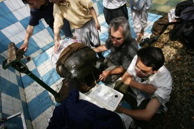 100种稀有的可爱动物（世界上最稀少的五种动物）