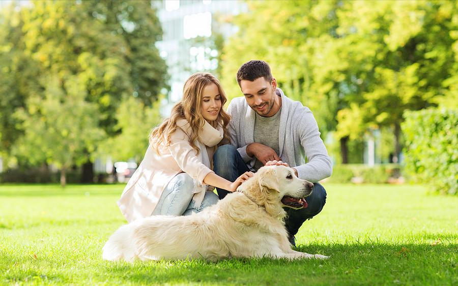 洋气冷门好听的狗名字大全（网上最火的狗的名字大全）