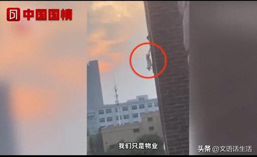 狗为何发出凄惨的叫声（附：狗被主人倒挂高楼外叫声响彻整个小区）