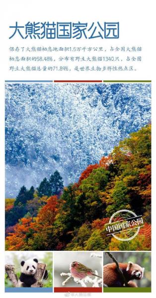 2022年中国大熊猫数量（中国现有多少只大熊猫）