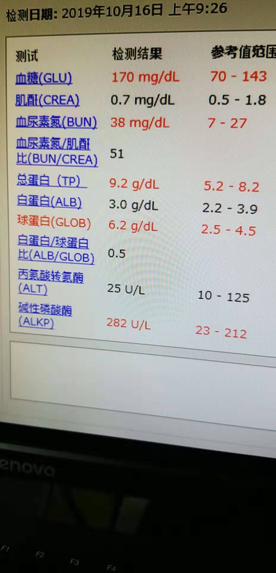 母猫子宫蓄脓初期症状（母猫子宫蓄脓怎么治吃什么药）