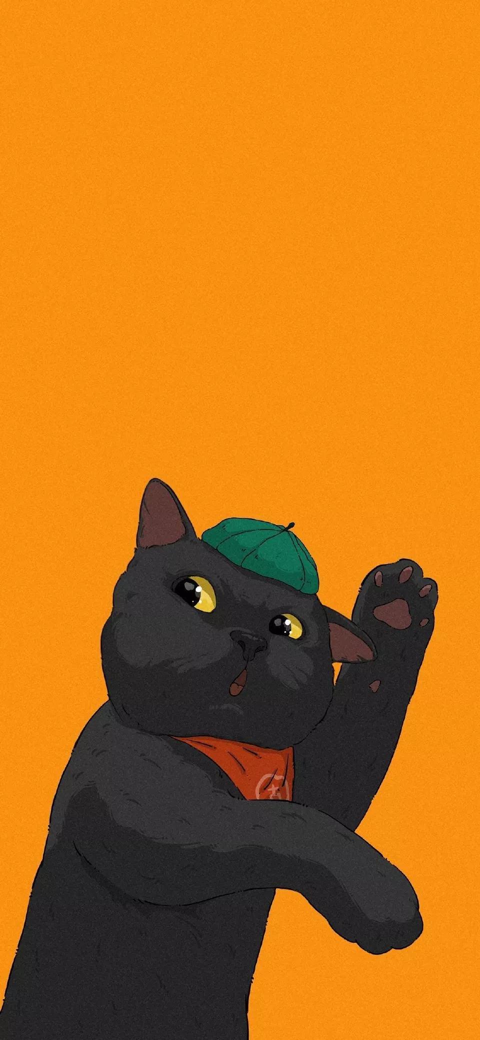 卡通可爱猫咪图片大全（失落的猫图片唯美）