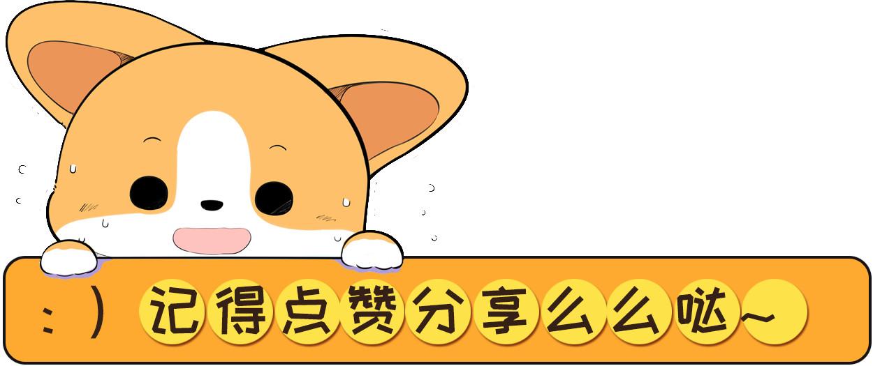 中型犬适合家养的狗及图片（家庭养什么狗狗品种好养又干净）