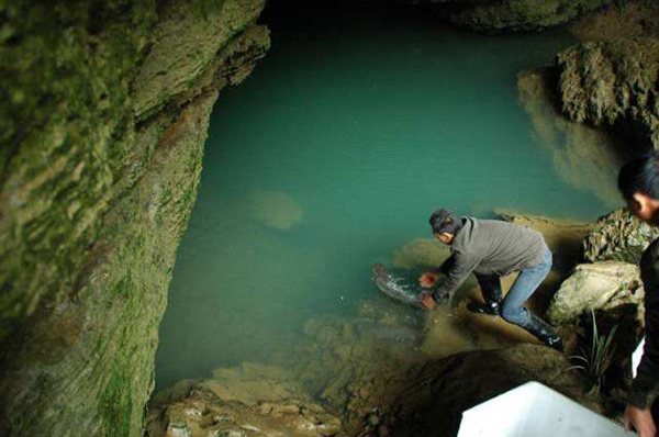 娃娃鱼有灵性不要吃（吃娃娃鱼犯法吗）
