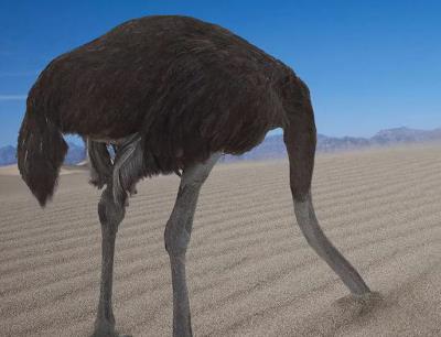 鸵鸟政策是什么政策（扯淡的鸵鸟政策）