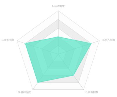 骑士查理王猎犬（查尔斯王骑士猎犬）