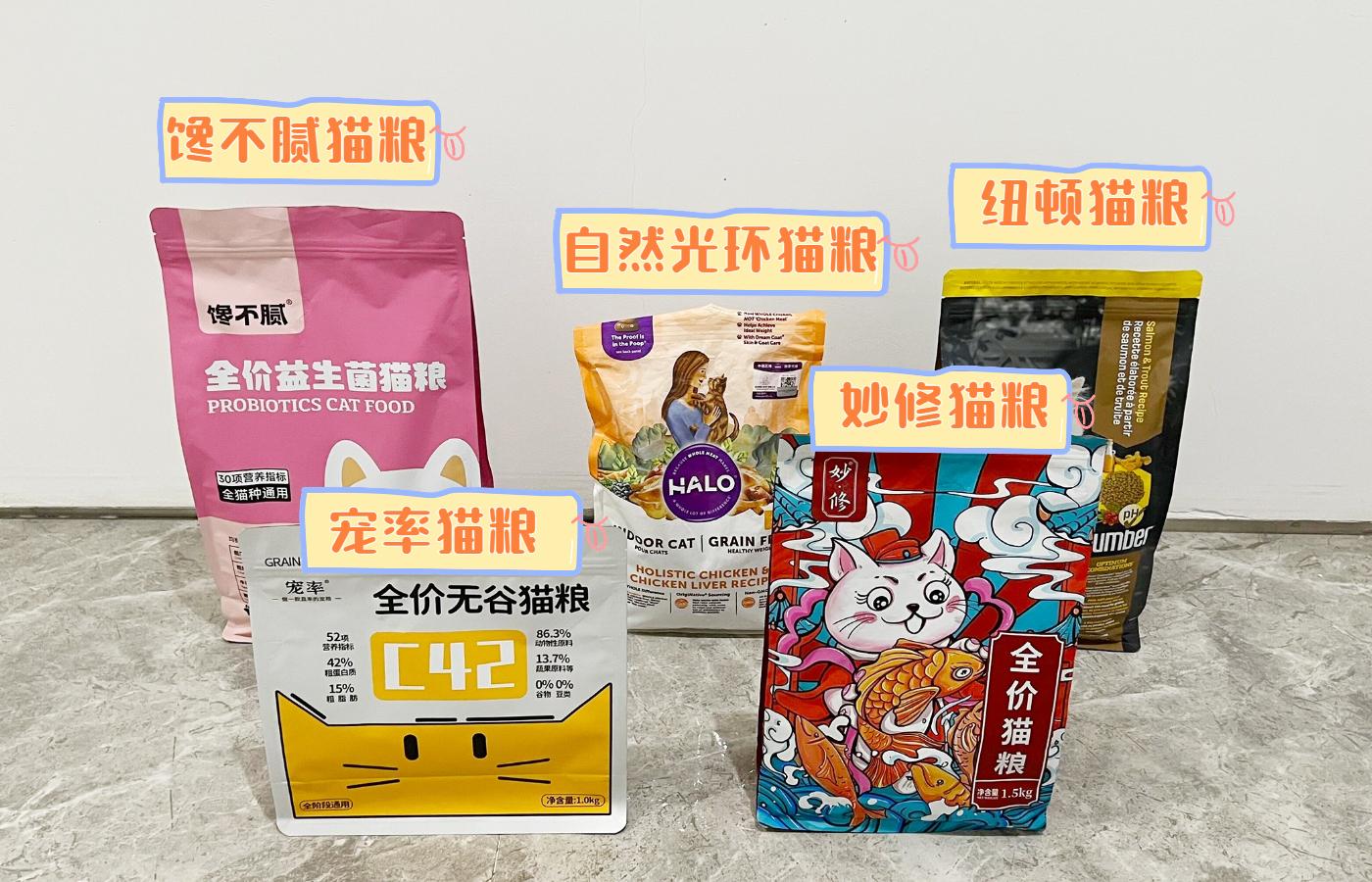 把猫咪送走它明白吗（把猫送走了猫会伤心会恨主人吗）